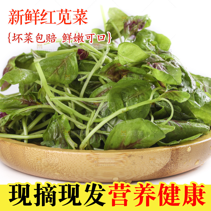 一盘农家苋菜放在白底上
