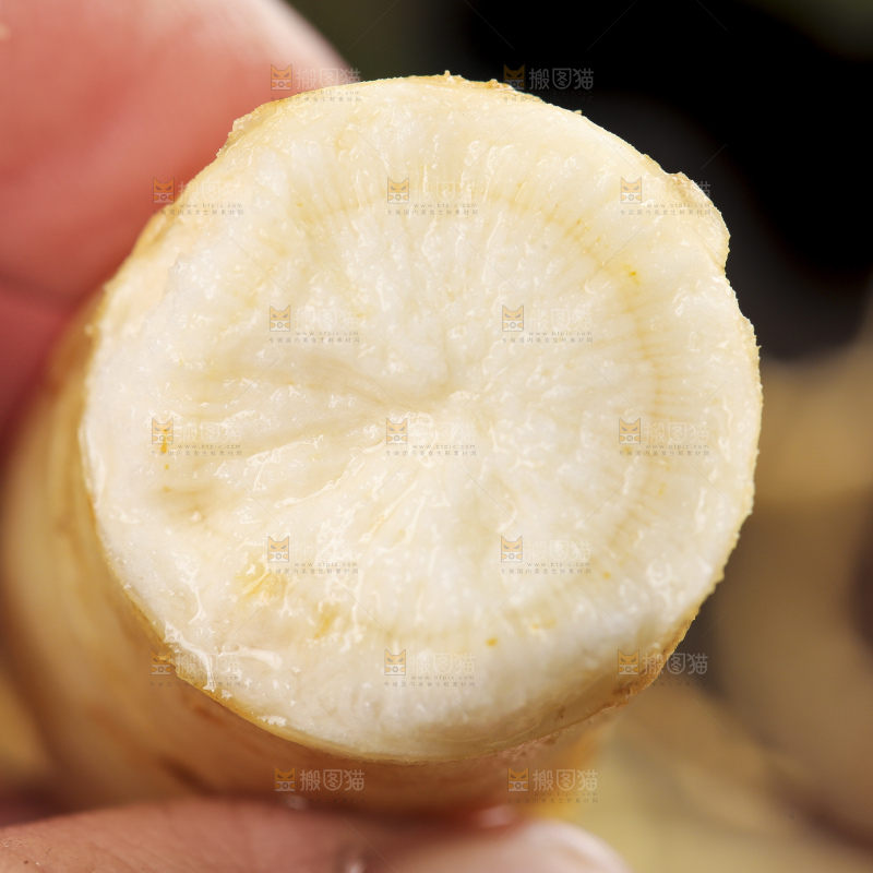 手拿切开的人参