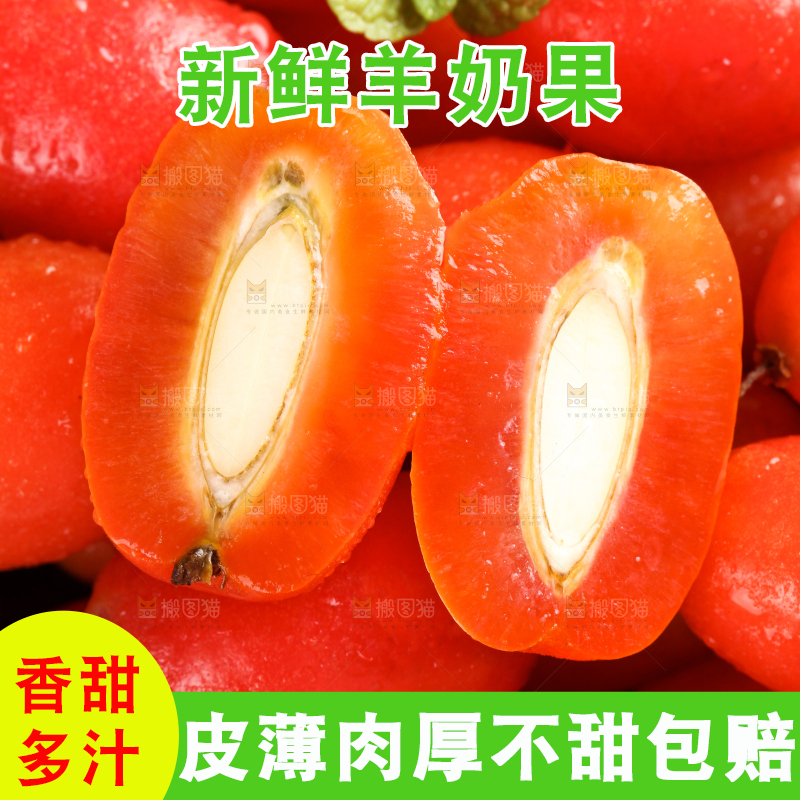 一盘野生羊奶果放在黑底上