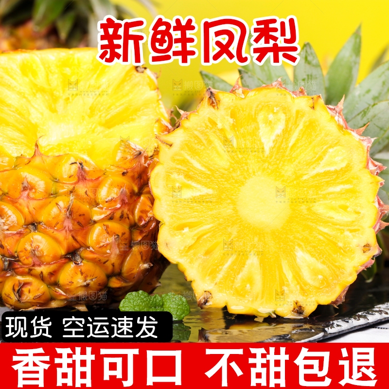 白格子底上的海南金钻凤梨