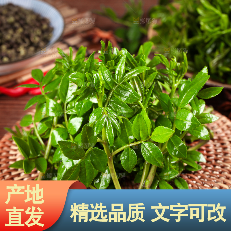 木底上的麻香花椒芽