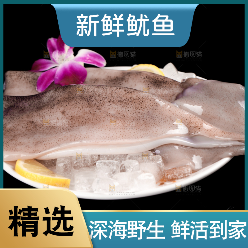 盘子里装着鱿鱼筒