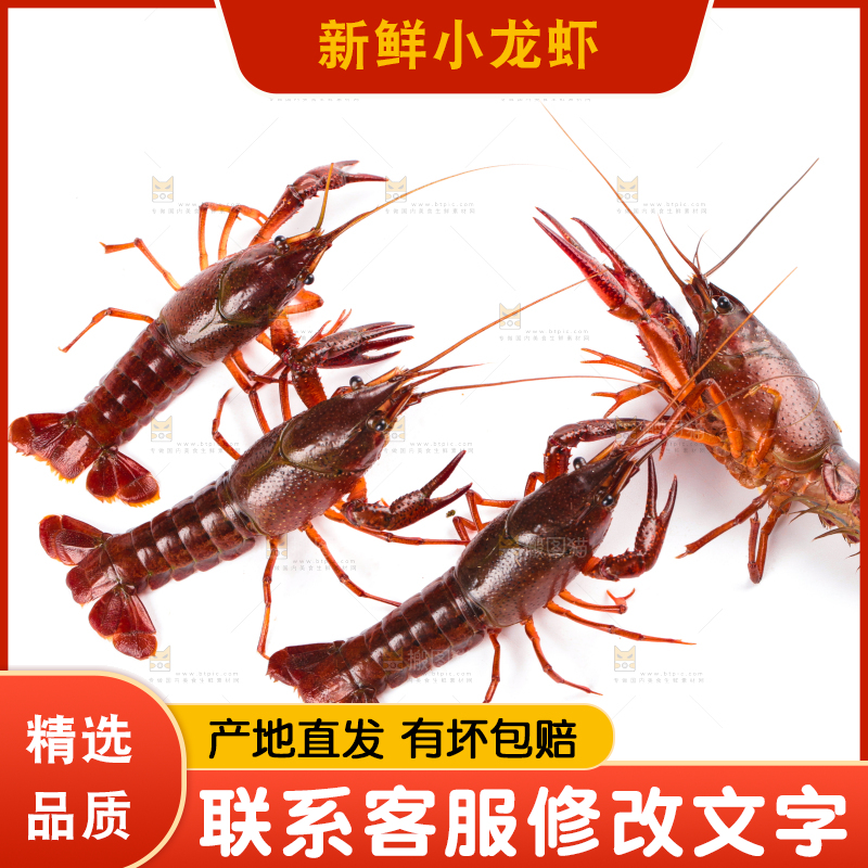 白底上放着潜江小龙虾