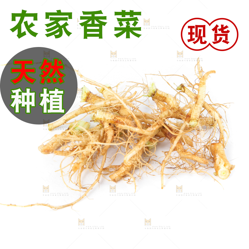 白底上的香菜根