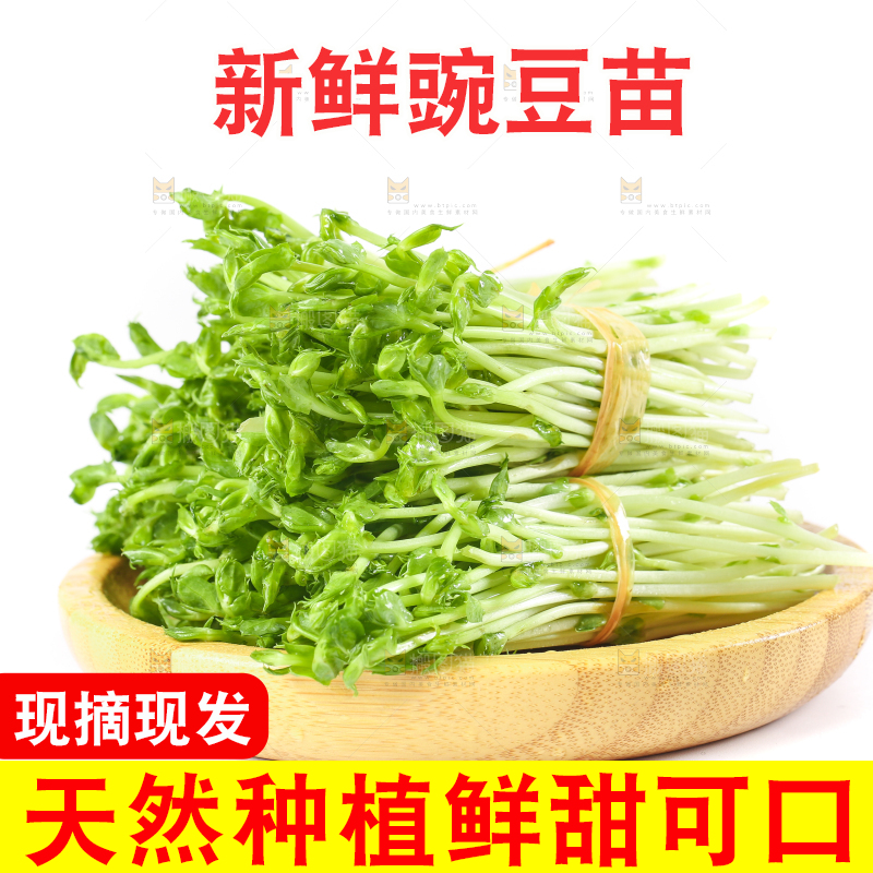 盘子里装着豌豆芽菜