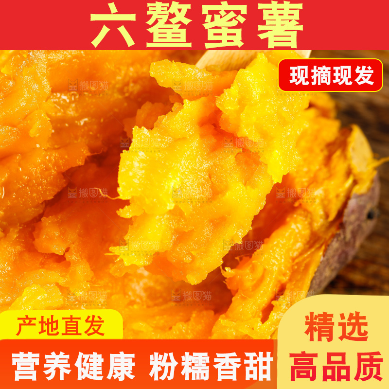 深底上的福建六鳌蜜薯