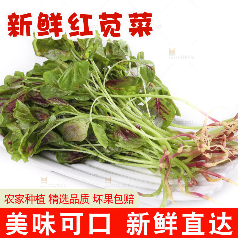 一盘农家苋菜放在白底上