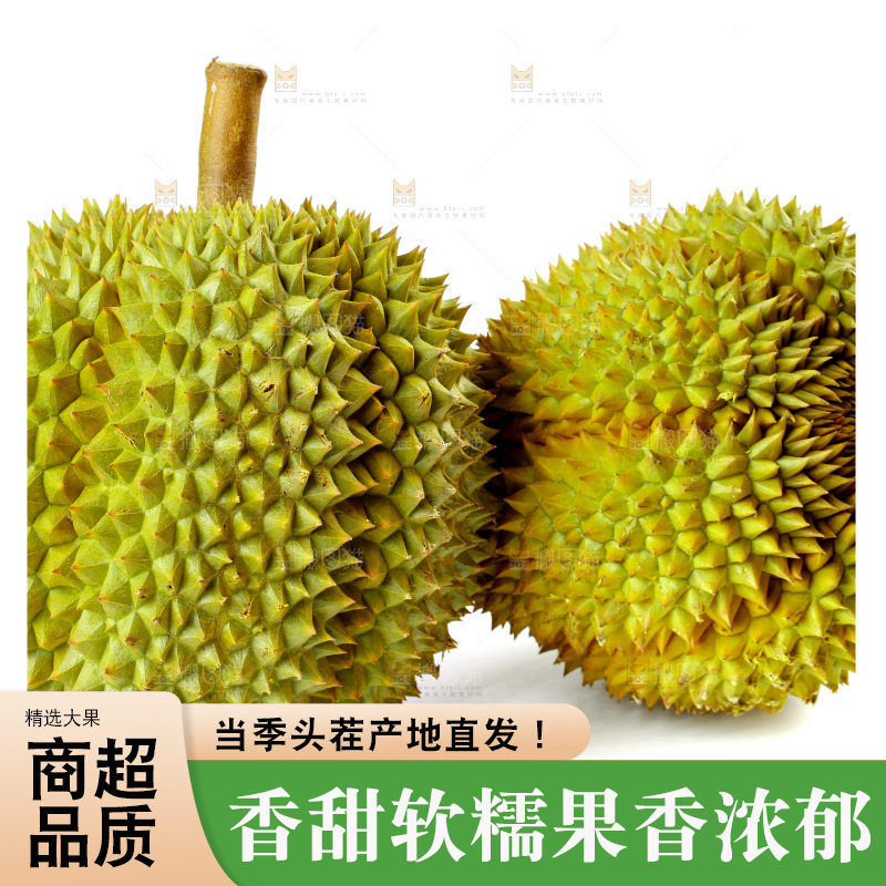 白底上的新鲜榴莲