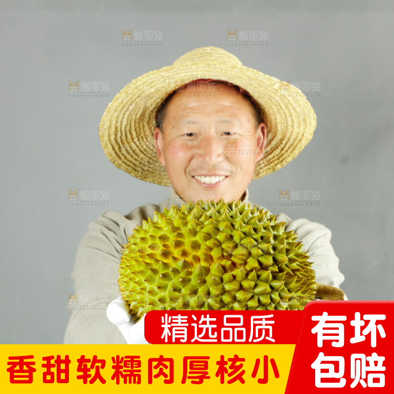 农民手里拿着泰国甲仑榴莲