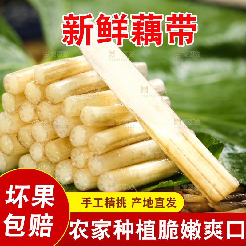 荷叶上放着藕带