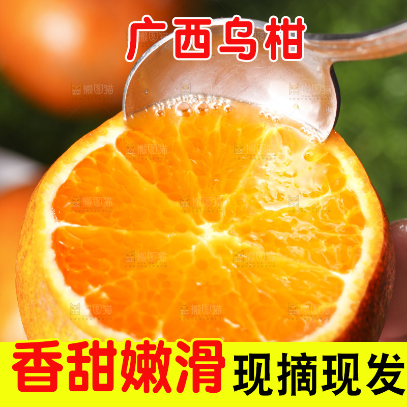 手拿切开的乌柑