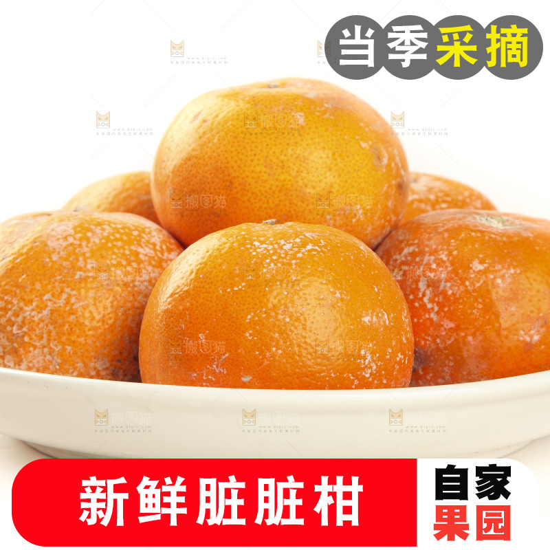 白底上的新鲜茂谷柑