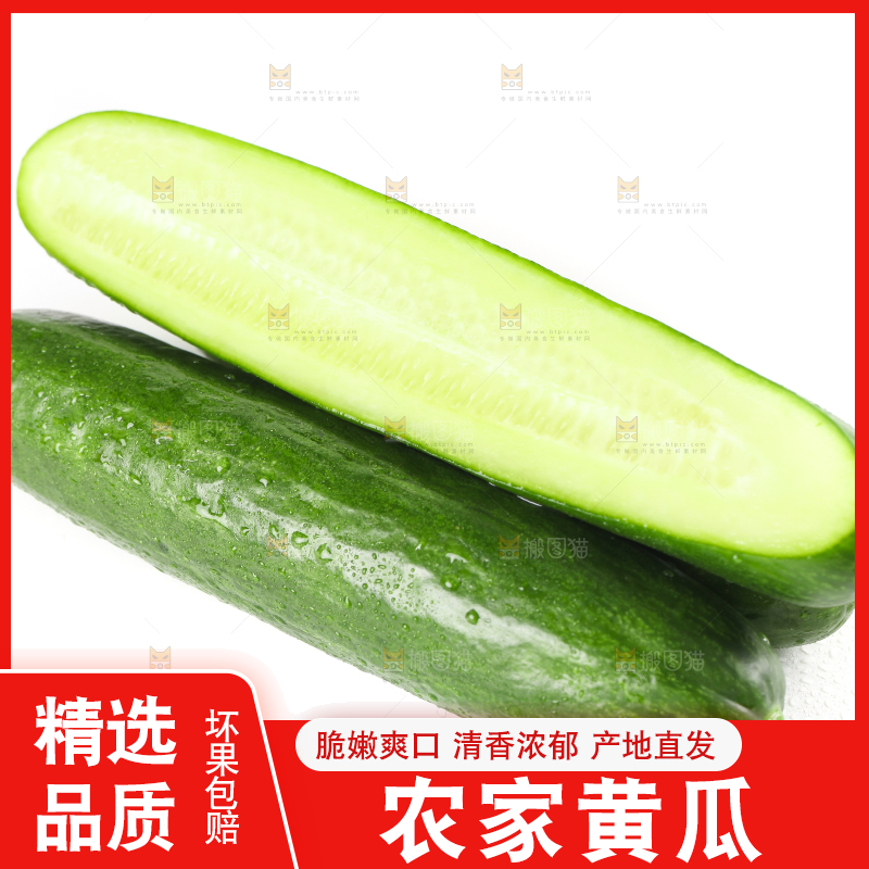 白底上放着新鲜水果黄瓜