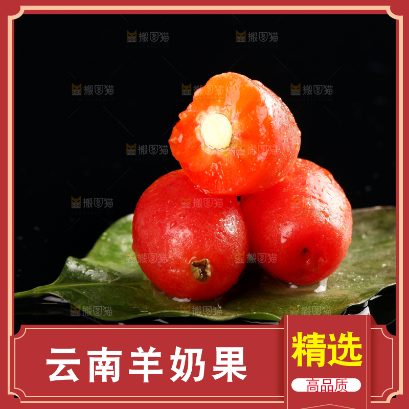 树叶上的羊奶果