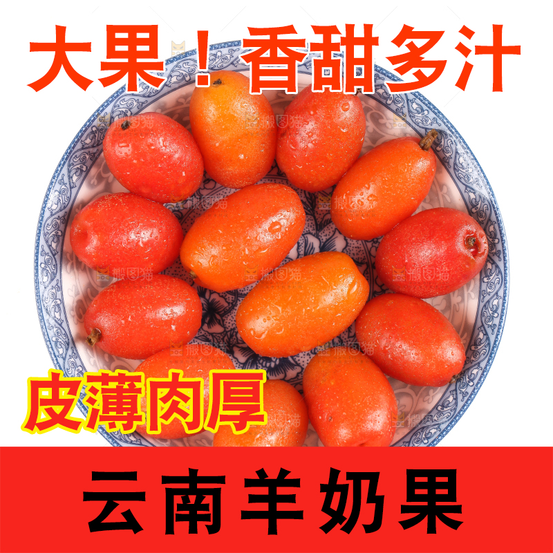 一盘新鲜的胡颓果放在白底上
