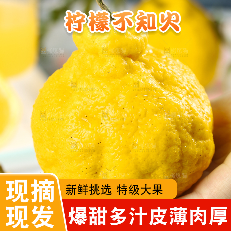 手里拿着不知火