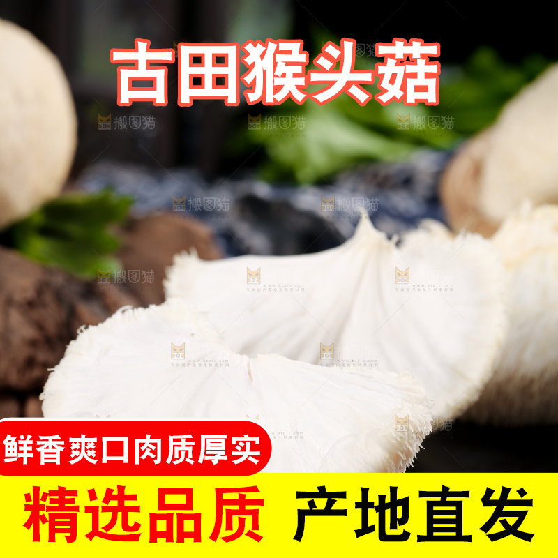 黑底上的猴头菇