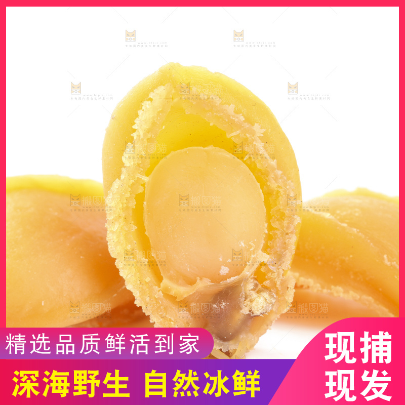 白底上的干鲍鱼