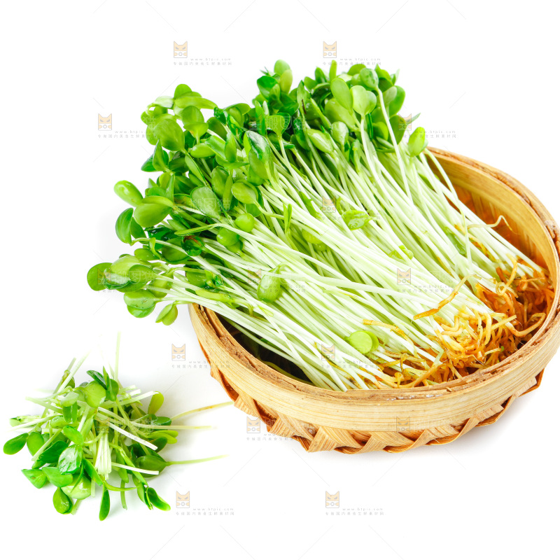 白底上放着一筐香椿苗