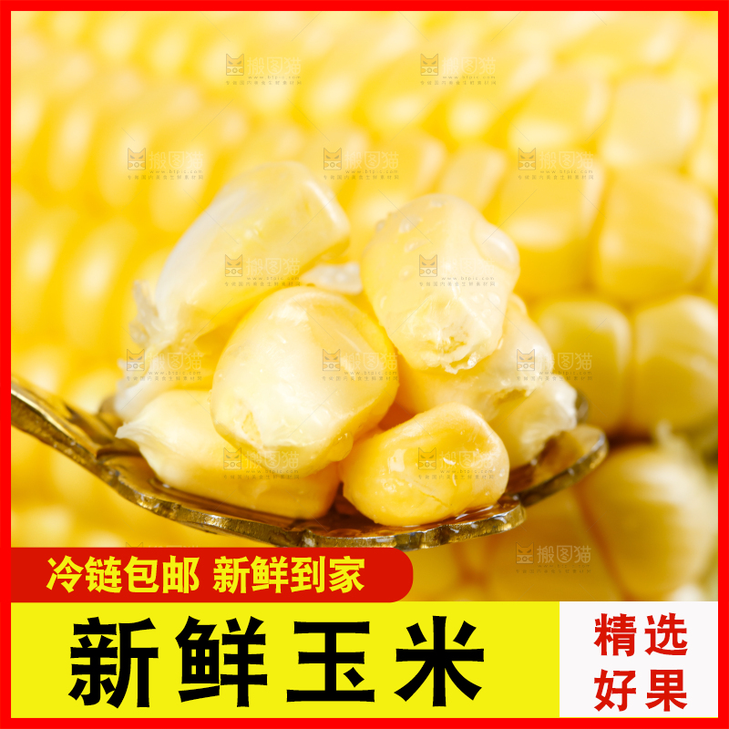 浅底上的黄玉米