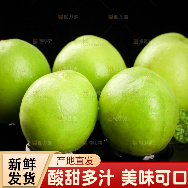 黑底上的青梅