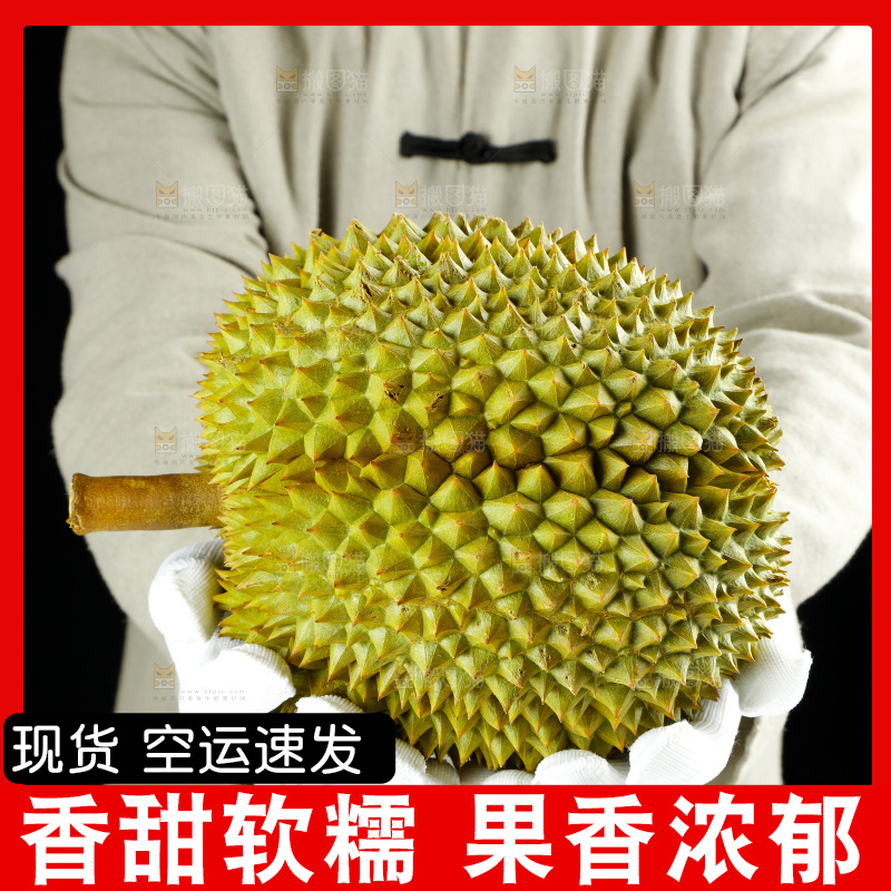 农民手里拿着泰国甲仑榴莲