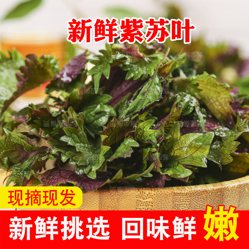 浅底上放着一盘紫苏叶