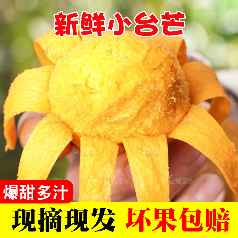 手拿剥皮的海南小台农芒果