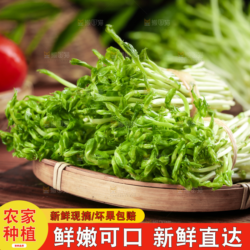 篮子里装着豆苗菜