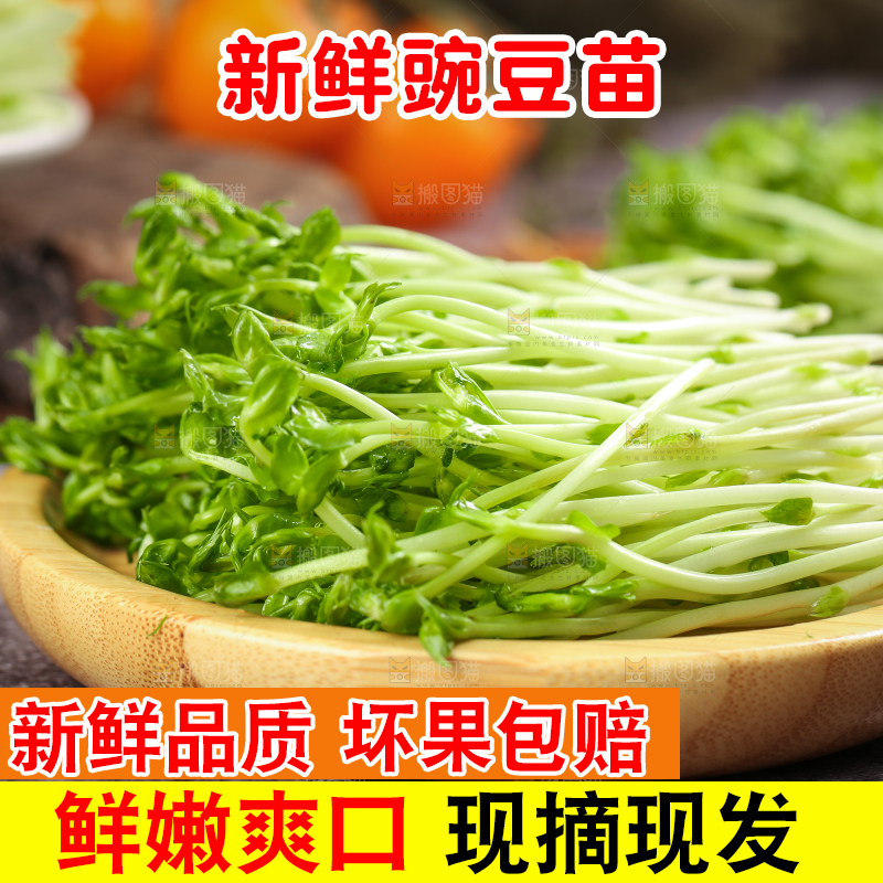 盘子里装着豌豆芽