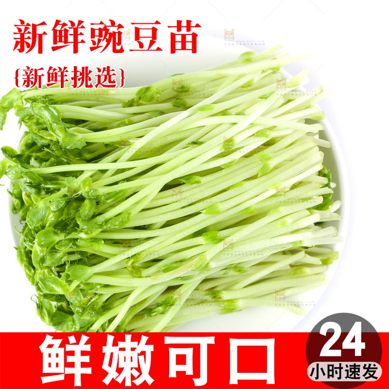 盘子里装着新鲜豌豆芽