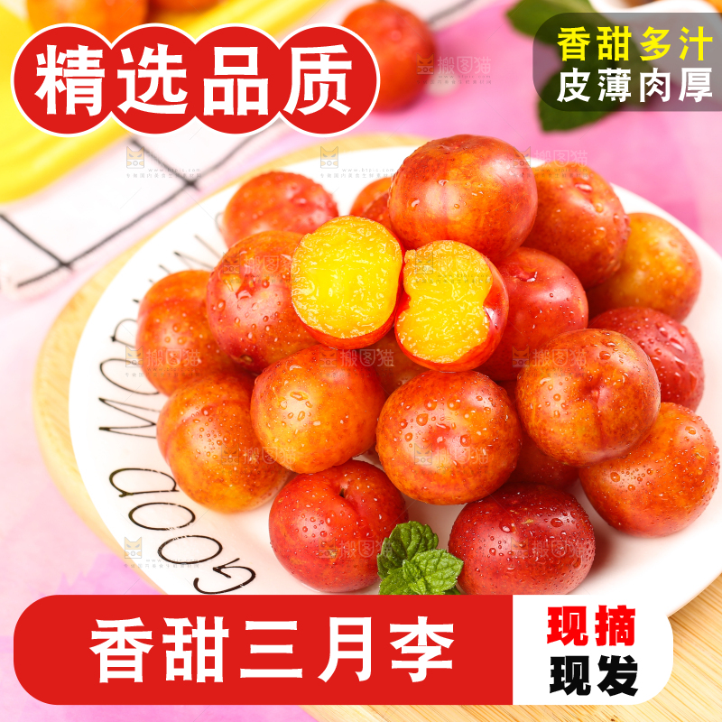盘子里装着钱排三月李