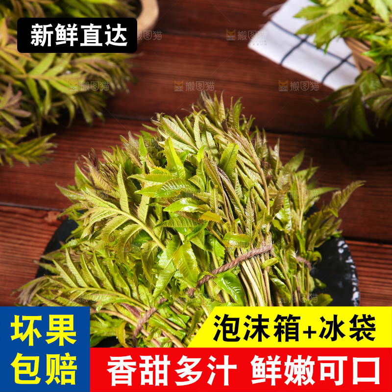 黑石板放着新鲜红香椿
