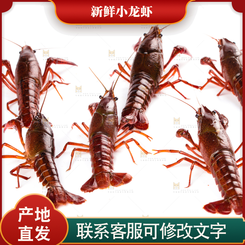 白底上放着潜江小龙虾