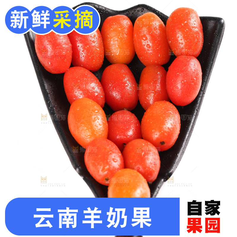 白底上放着一盘羊奶果