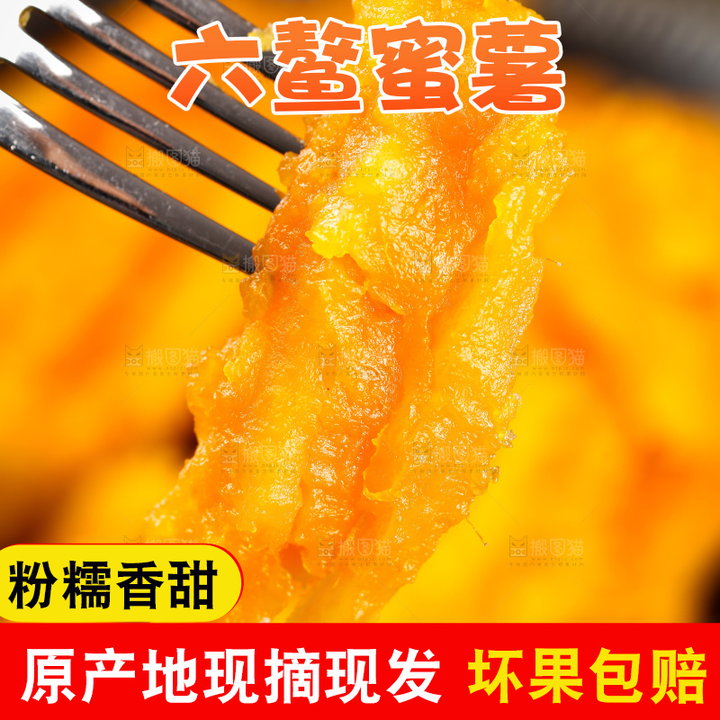深底上的福建六鳌蜜薯