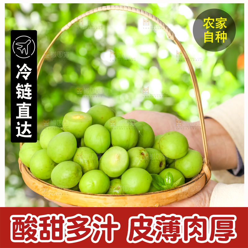 手拿一篮野生青梅