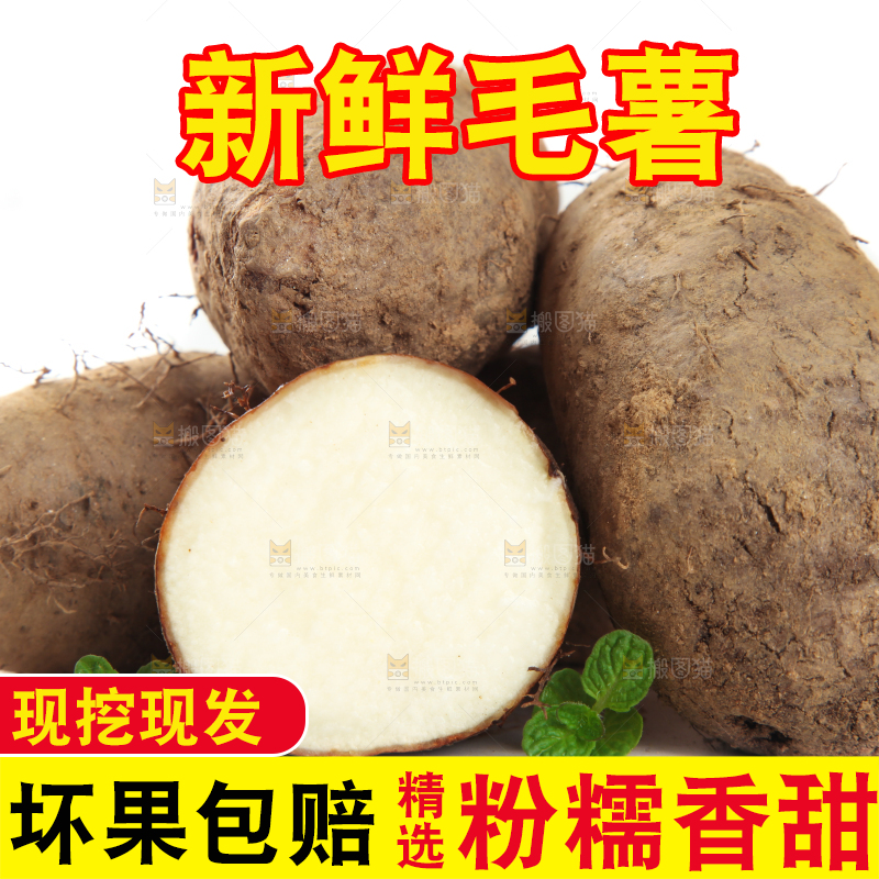 白底上切开的湛江毛薯