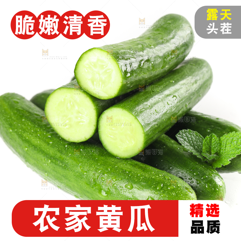 白底上放着新鲜水果黄瓜