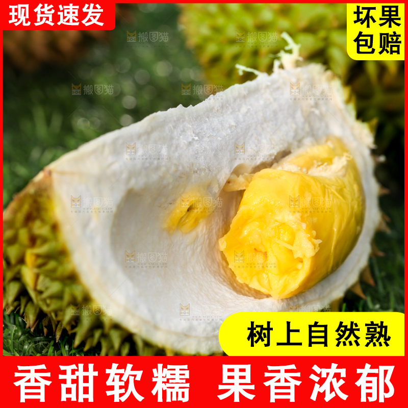 草地上摆放着甲仑榴莲