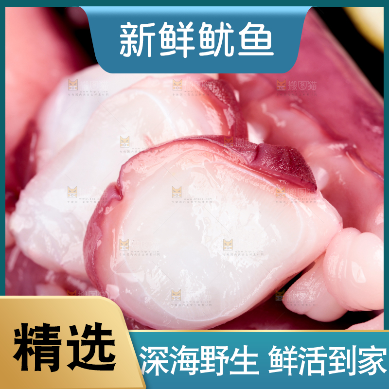 黑石板上的大鱿鱼