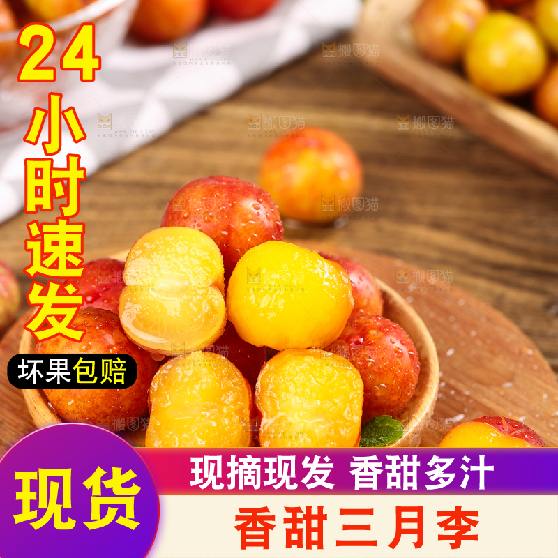 木板上的珍珠李
