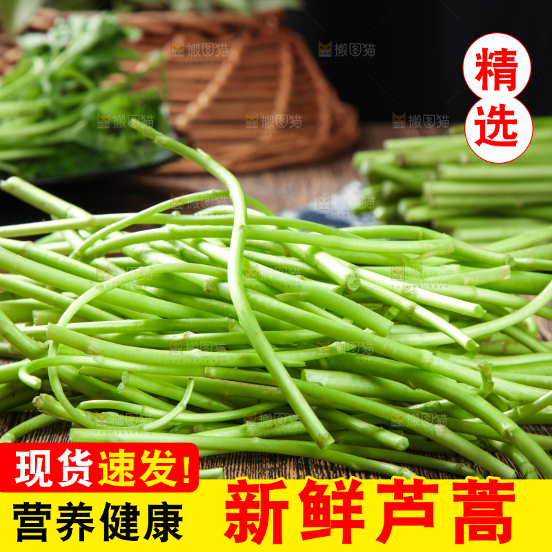 木底上的藜蒿