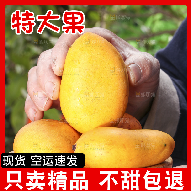 手拿切开的迷你小台芒
