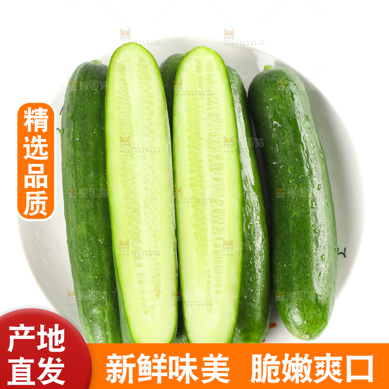 盘子里的无刺小黄瓜