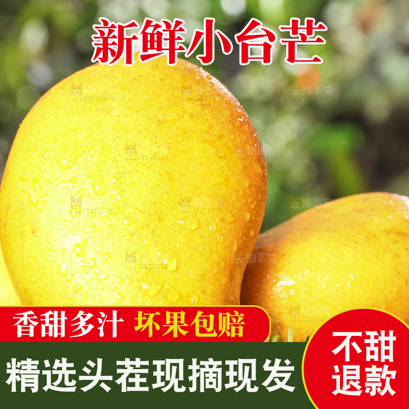 草地上的新鲜小台芒