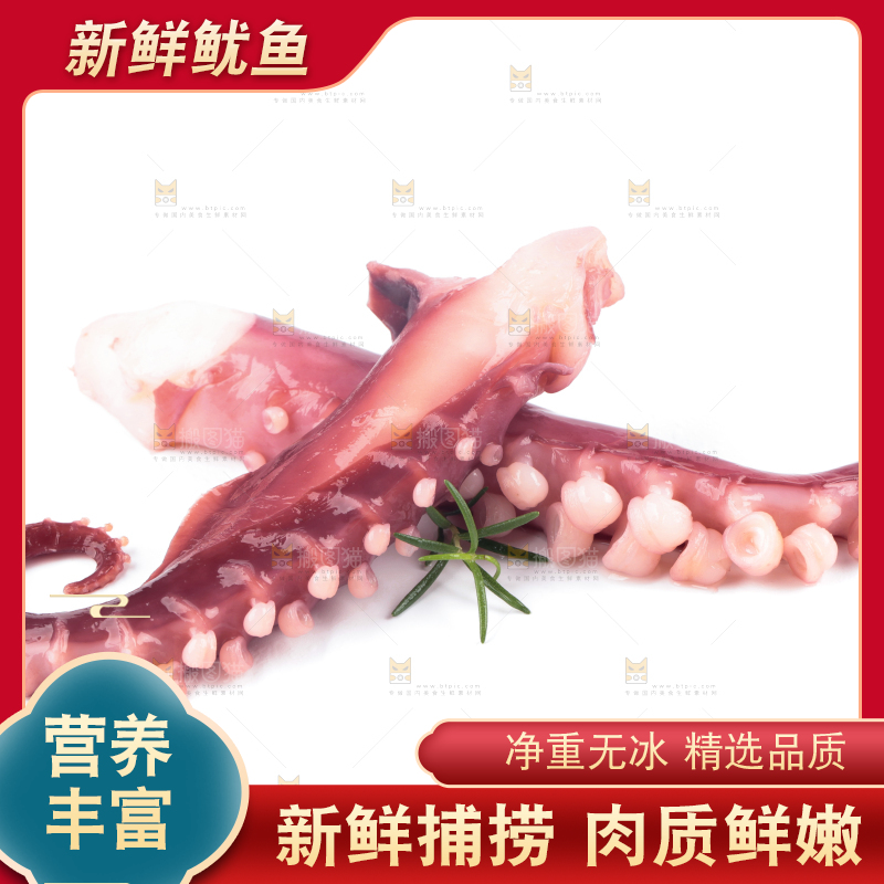 白底上的大鱿鱼