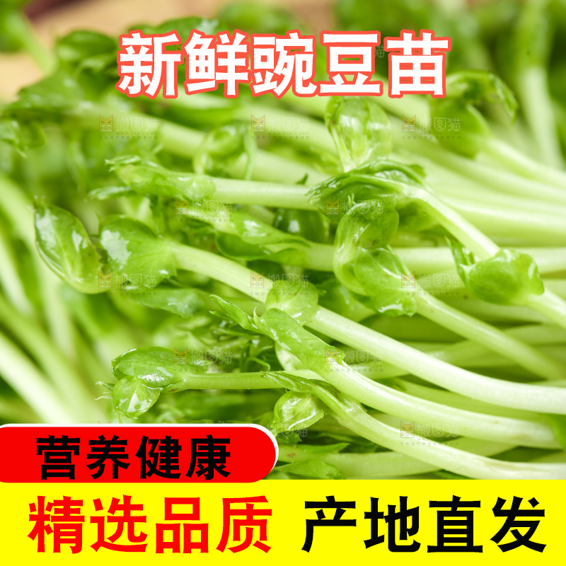 篮子里装着豆苗菜