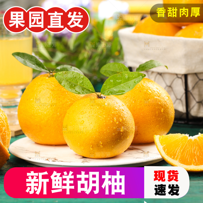 蓝底上的常山胡柚