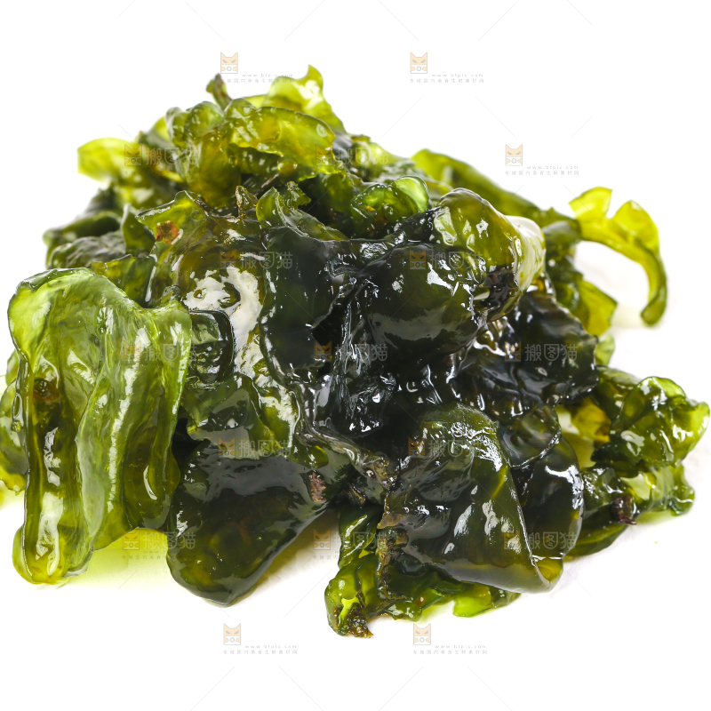 白底上的地皮菜